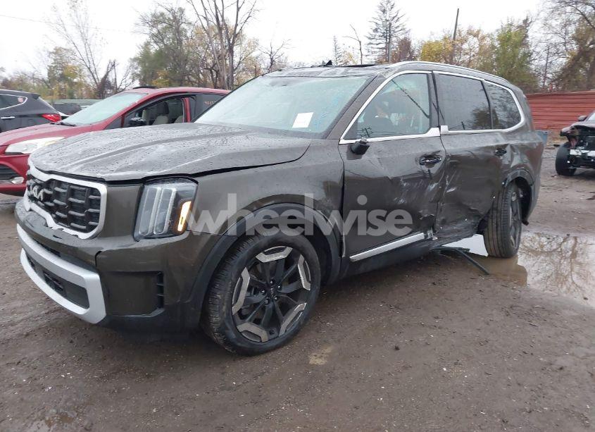 Photo 2 of 2024 Kia Telluride S (VIN 5XYP6DGC3RG556864)