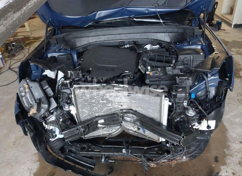 Photo 10 of 2025 Kia Telluride S (VIN 5XYP6DGC3SG579521)