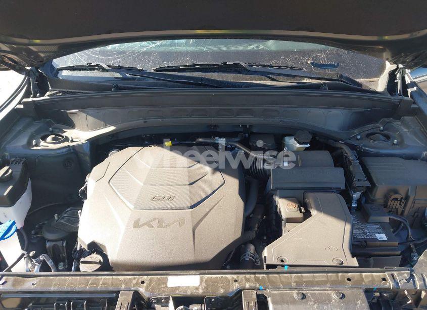 Photo 10 of 2025 Kia Telluride S (VIN 5XYP6DGC3SG587327)