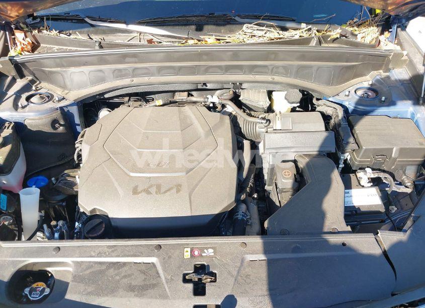 Photo 10 of 2024 Kia Telluride S (VIN 5XYP6DGC4RG500643)