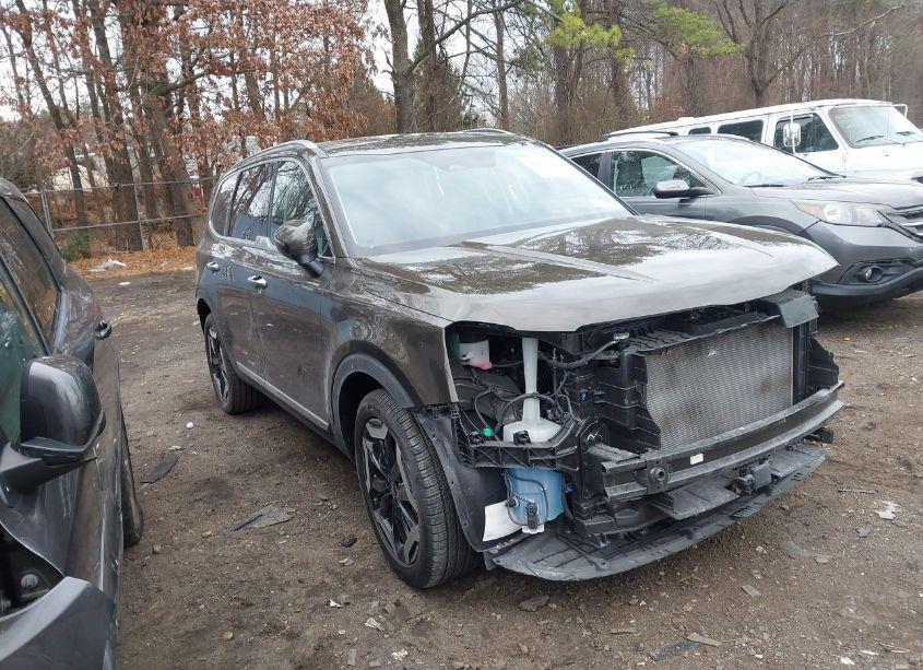 2024 Kia Telluride S (VIN 5XYP6DGC4RG516616) main photo