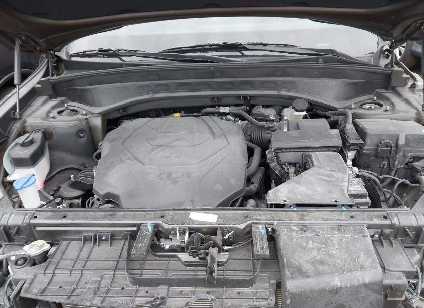 Photo 10 of 2024 Kia Telluride S (VIN 5XYP6DGC4RG516616)