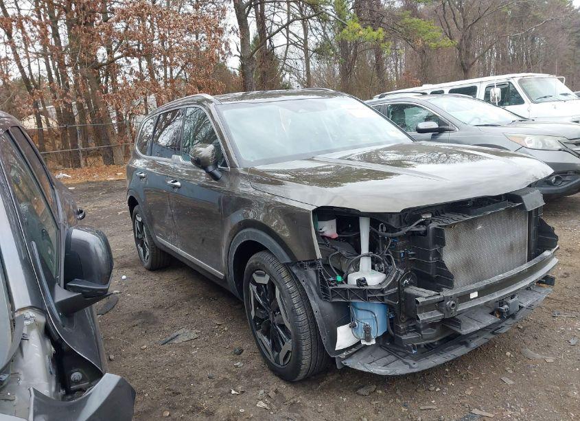 Photo 13 of 2024 Kia Telluride S (VIN 5XYP6DGC4RG516616)