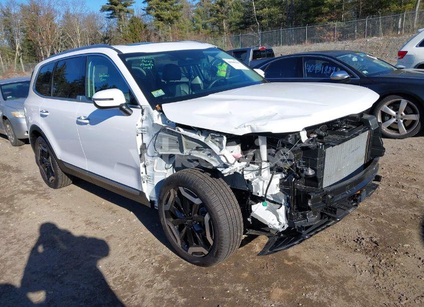 2024 Kia Telluride S (VIN 5XYP6DGC5RG522523) main photo