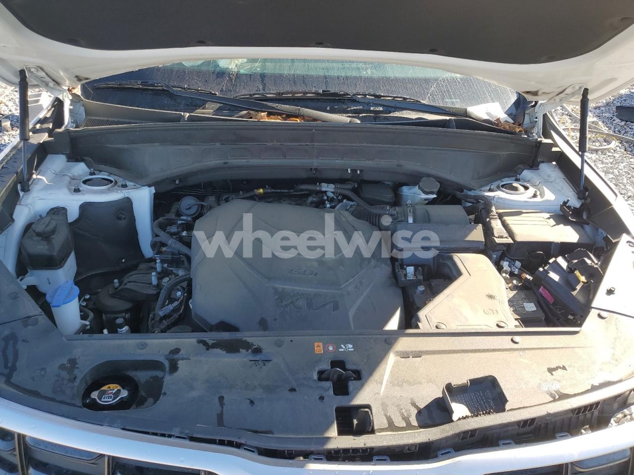 Photo 12 of 2024 KIA TELLURIDE S (VIN 5XYP6DGC6RG491461)