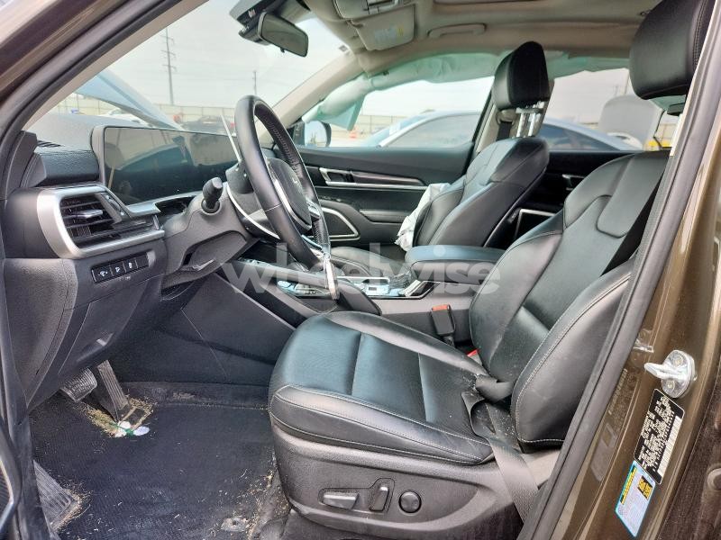Photo 10 of 2023 KIA TELLURIDE S (VIN 5XYP6DGC8PG340439)
