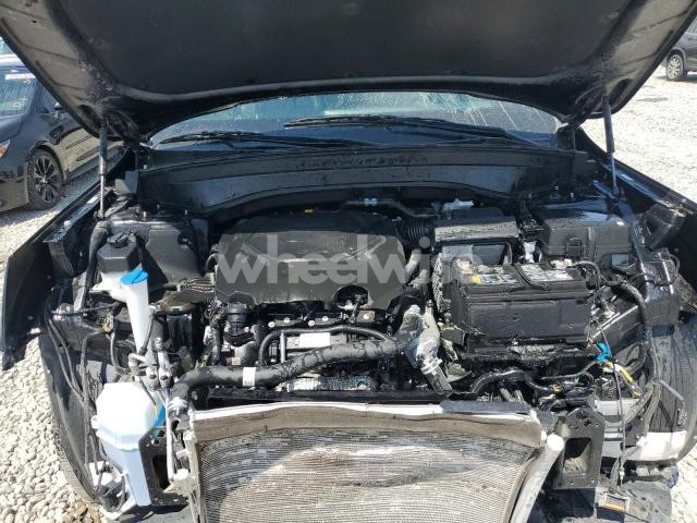 Photo 13 of 2025 KIA TELLURIDE S (VIN 5XYP6DGC8SG591387)