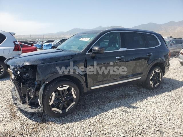 Photo 3 of 2025 KIA TELLURIDE S (VIN 5XYP6DGC8SG591387)