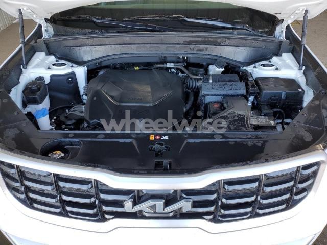 Photo 10 of 2025 KIA TELLURIDE S (VIN 5XYP6DGC9SG581080)