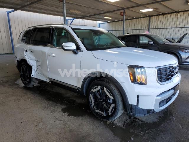 Photo 14 of 2025 KIA TELLURIDE S (VIN 5XYP6DGC9SG581080)