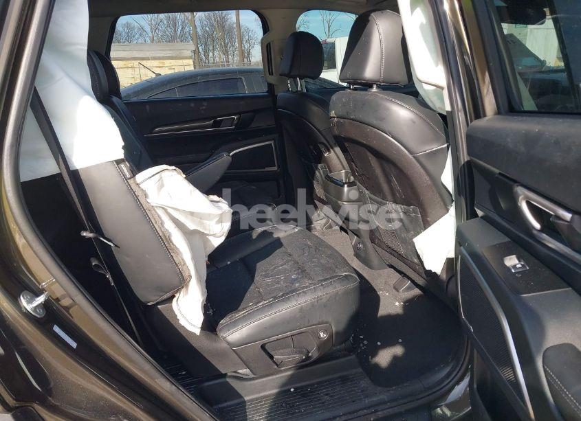 Photo 8 of 2024 Kia Telluride S (VIN 5XYP6DGCXRG526258)