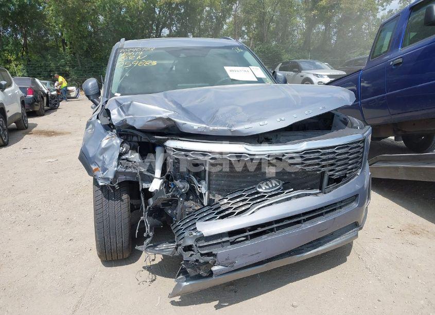 Photo 6 of 2020 Kia Telluride S (VIN 5XYP6DHC1LG059883)