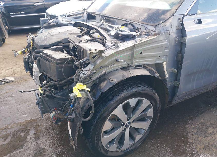 Photo 20 of 2021 Kia Telluride S (VIN 5XYP6DHC1MG113572)