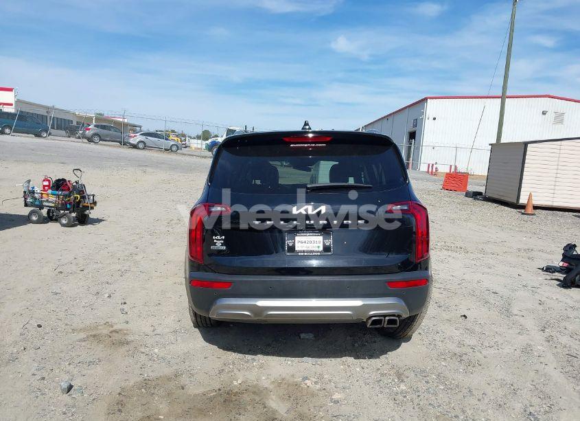 Photo 16 of 2022 Kia Telluride S (VIN 5XYP6DHC3NG239238)