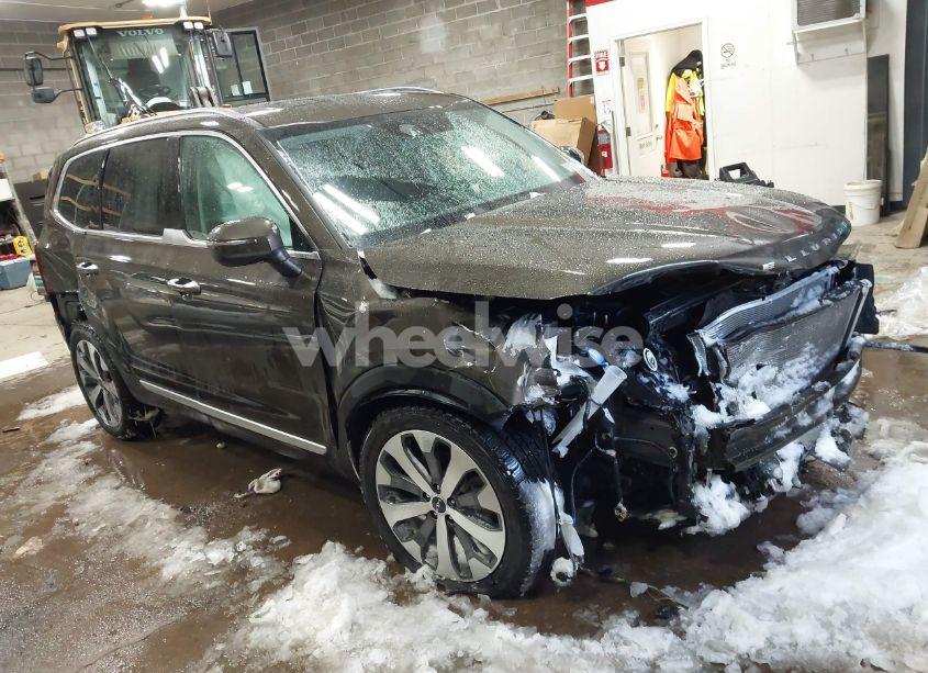 2022 Kia Telluride S (VIN 5XYP6DHC4NG200609) main photo