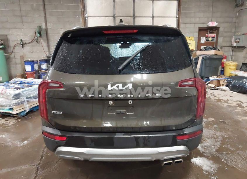 Photo 16 of 2022 Kia Telluride S (VIN 5XYP6DHC4NG200609)