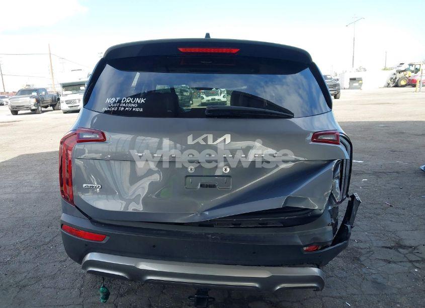 Photo 16 of 2022 Kia Telluride S (VIN 5XYP6DHC4NG205678)