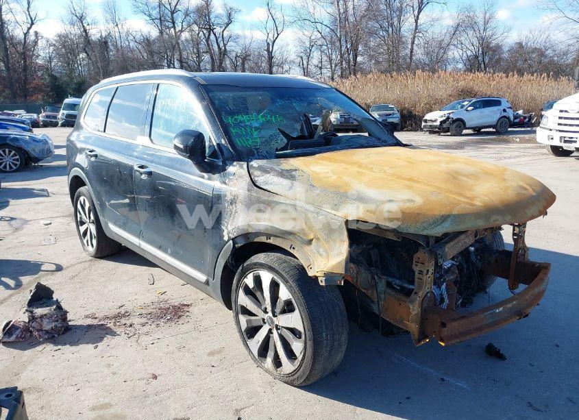 2022 Kia Telluride S (VIN 5XYP6DHC5NG235076) main photo