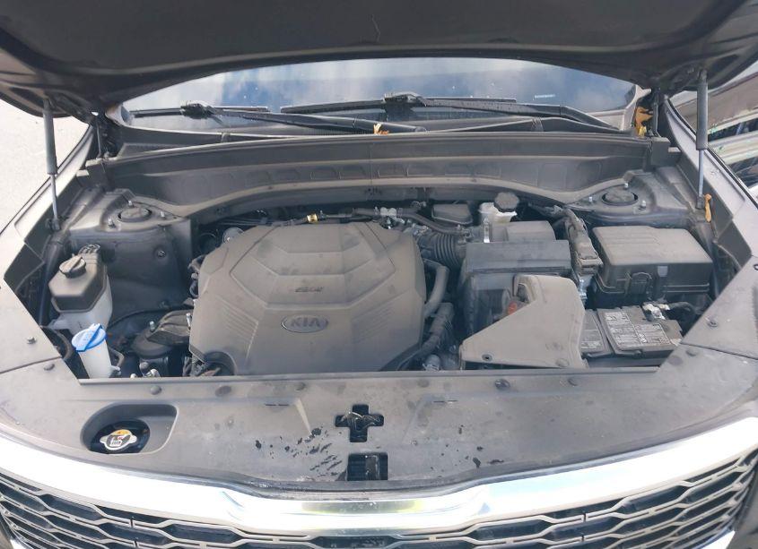 Photo 10 of 2021 Kia Telluride S (VIN 5XYP6DHC7MG107081)