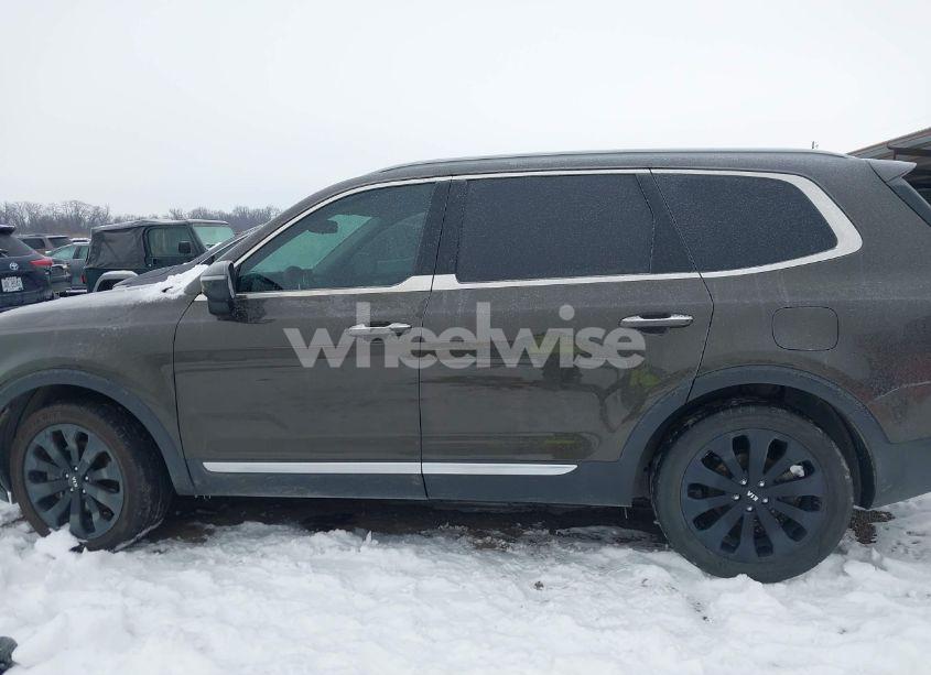 Photo 14 of 2020 Kia Telluride S (VIN 5XYP6DHC9LG049456)