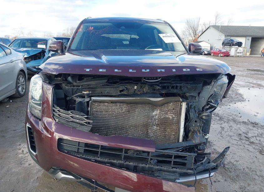 Photo 13 of 2020 Kia Telluride S (VIN 5XYP6DHC9LG089262)