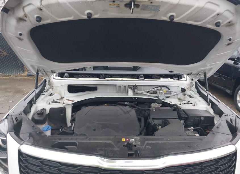 Photo 10 of 2022 Kia Telluride S (VIN 5XYP6DHCXNG224509)