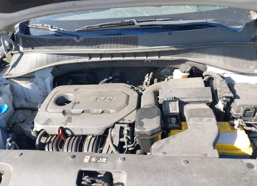 Photo 10 of 2019 Kia Sorento 2.4L L (VIN 5XYPG4A30KG567316)