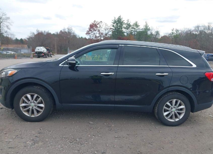 Photo 14 of 2016 Kia Sorento 2.4L LX (VIN 5XYPG4A31GG048203)