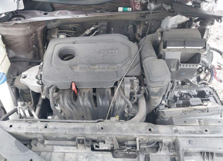 Photo 10 of 2019 Kia Sorento 2.4L LX (VIN 5XYPG4A31KG509294)