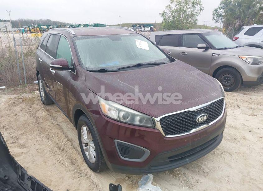2016 Kia Sorento 2.4L LX (VIN 5XYPG4A33GG137898) main photo