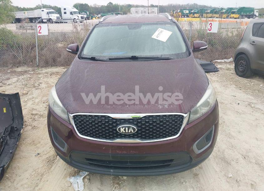 Photo 13 of 2016 Kia Sorento 2.4L LX (VIN 5XYPG4A33GG137898)