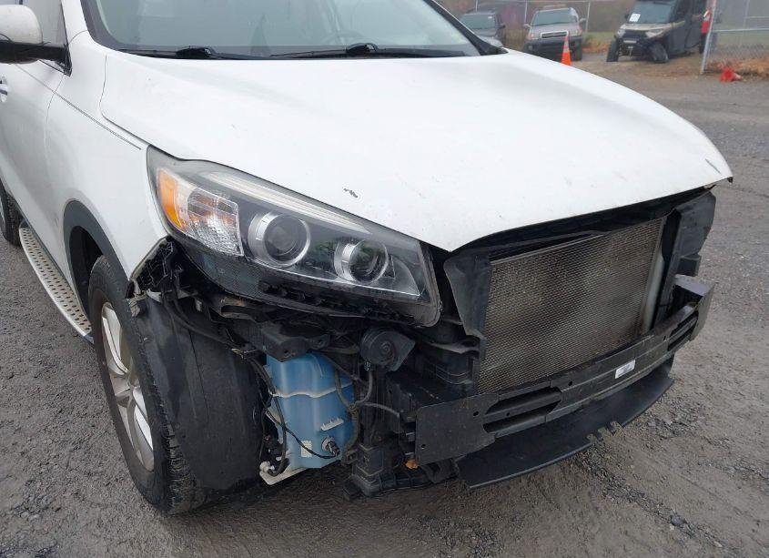Photo 18 of 2016 Kia Sorento 2.4L LX (VIN 5XYPG4A35GG056367)