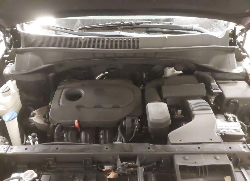 Photo 10 of 2019 Kia Sorento 2.4L L (VIN 5XYPG4A37KG523037)