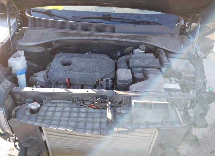 Photo 10 of 2019 Kia Sorento 2.4L L (VIN 5XYPG4A37KG588566)