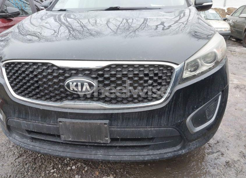 Photo 21 of 2016 Kia Sorento 2.4L LX (VIN 5XYPG4A38GG037845)