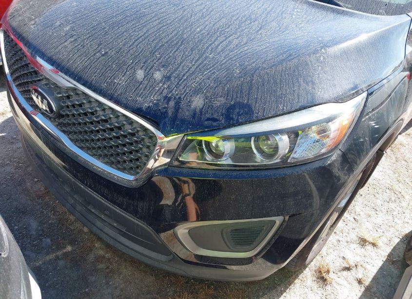 Photo 6 of 2017 Kia Sorento 2.4L L (VIN 5XYPG4A38HG284039)