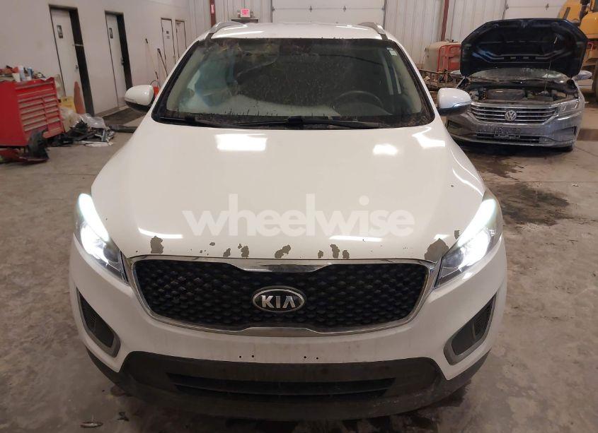 Photo 12 of 2016 Kia Sorento 2.4L LX (VIN 5XYPG4A3XGG058180)