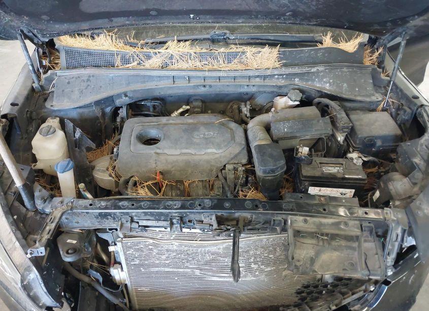 Photo 10 of 2017 Kia Sorento 2.4L LX (VIN 5XYPGDA30HG268837)