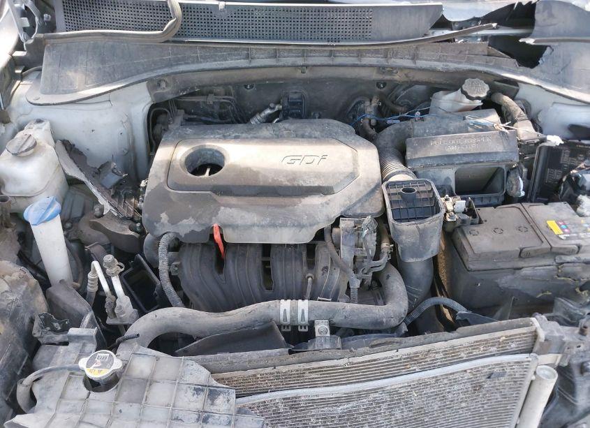 Photo 10 of 2019 Kia Sorento 2.4L LX (VIN 5XYPGDA30KG436970)