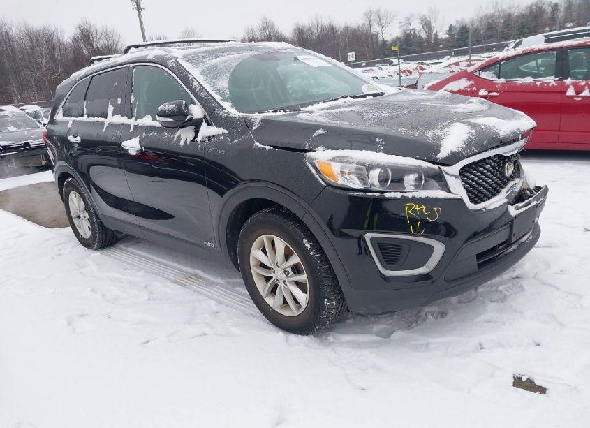 2016 Kia Sorento 2.4L LX (VIN 5XYPGDA31GG034530) main photo