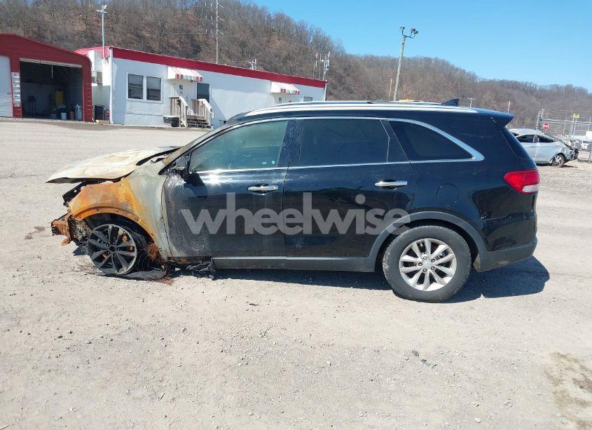 Photo 14 of 2016 Kia Sorento 2.4L LX (VIN 5XYPGDA35GG055431)