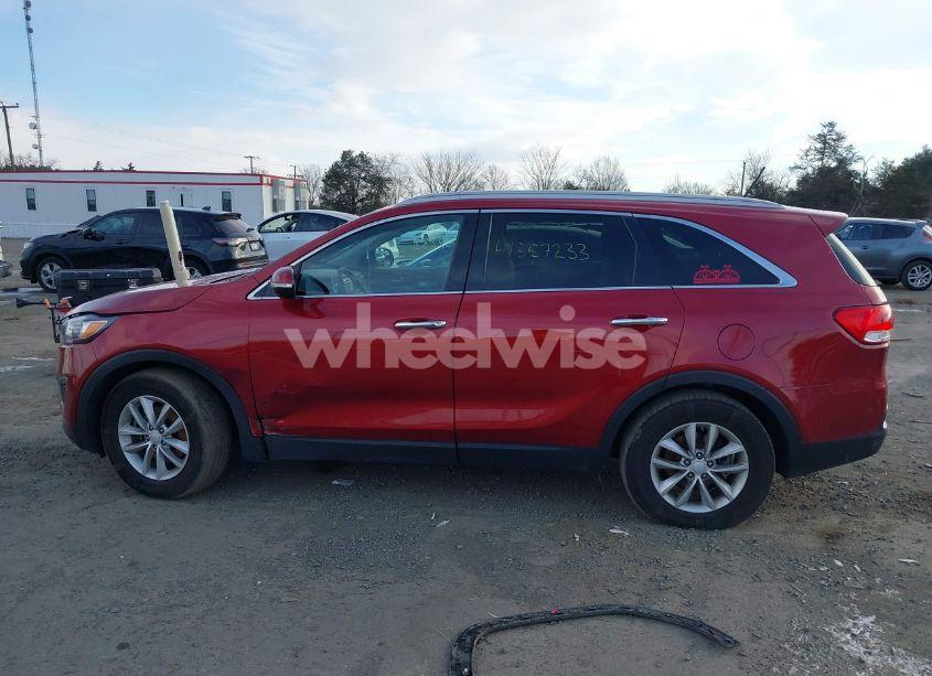 Photo 14 of 2017 Kia Sorento LX/L (VIN 5XYPGDA3XHG303562)