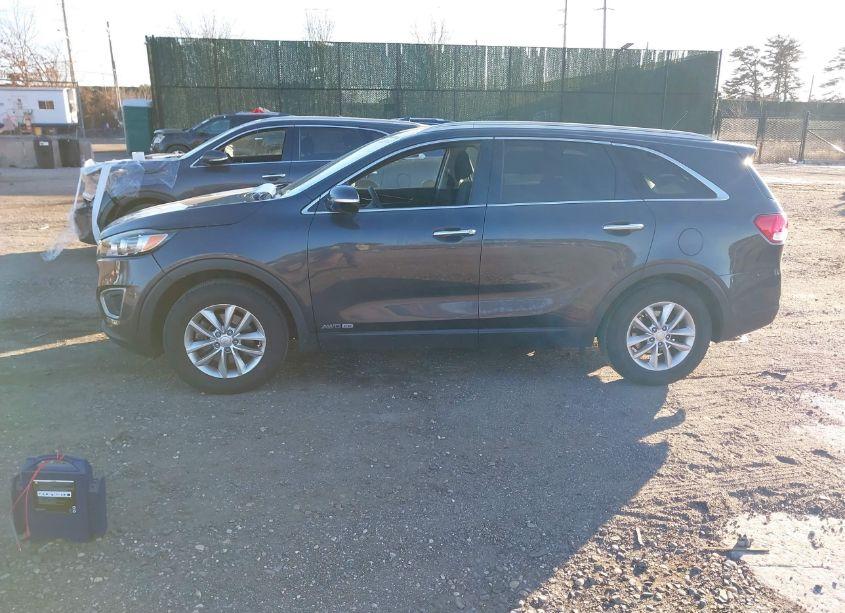Photo 14 of 2017 Kia Sorento 3.3L LX (VIN 5XYPGDA51HG279525)