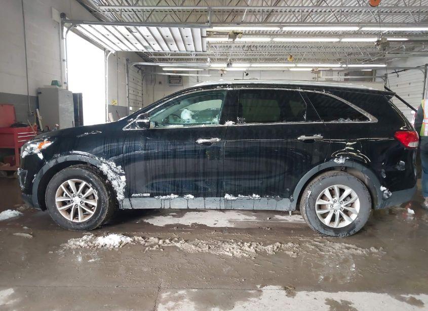 Photo 14 of 2017 Kia Sorento 3.3L LX (VIN 5XYPGDA53HG242976)