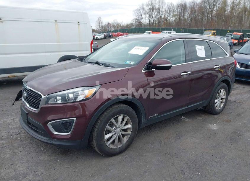 Photo 2 of 2017 Kia Sorento 3.3L LX (VIN 5XYPGDA53HG243044)
