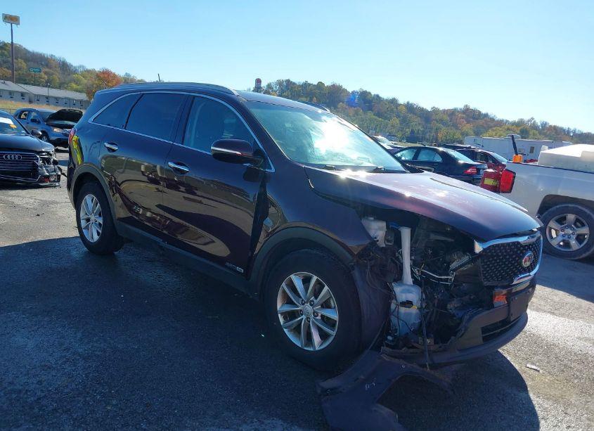 2017 Kia Sorento LX V6 (VIN 5XYPGDA55HG329455) main photo