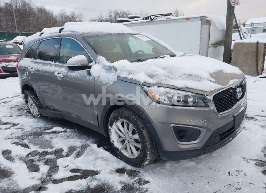 2016 Kia Sorento 3.3L LX (VIN 5XYPGDA57GG172641) main photo