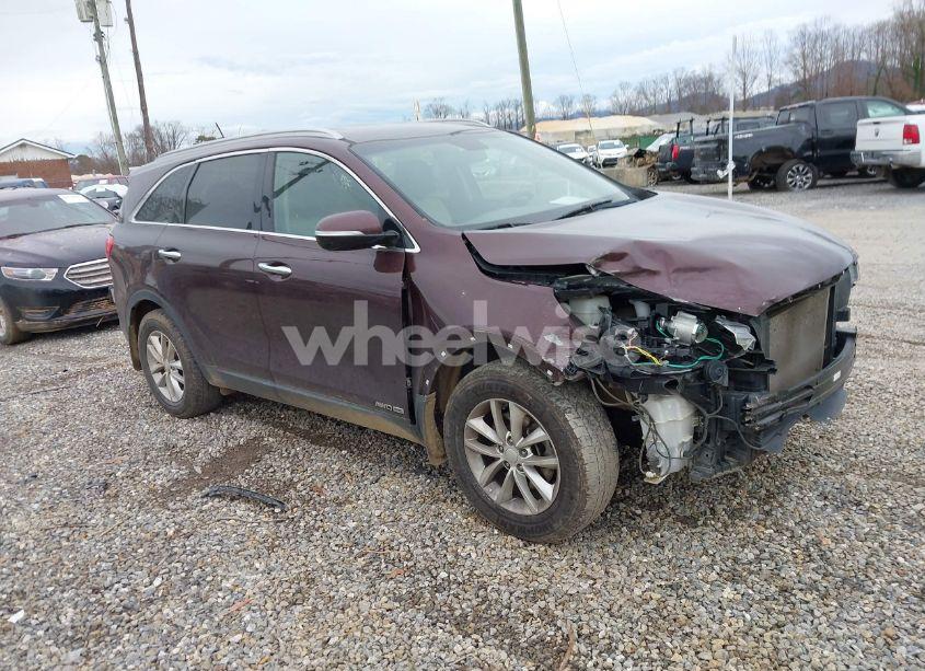 2017 Kia Sorento LX V6 (VIN 5XYPGDA57HG324208) main photo