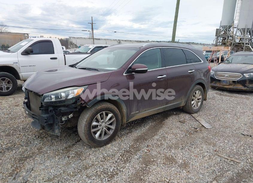 Photo 2 of 2017 Kia Sorento LX V6 (VIN 5XYPGDA57HG324208)
