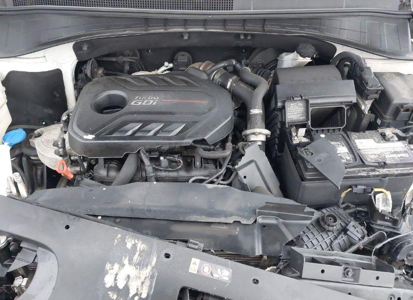 Photo 10 of 2016 Kia Sorento 2.0T EX (VIN 5XYPH4A14GG049566)